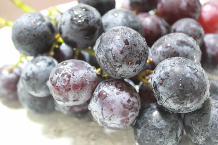 クラシックブドウ