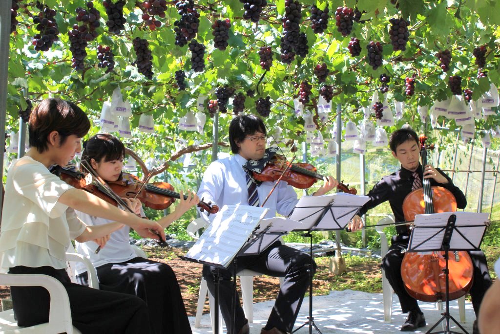 ブドウ畑で毎年開催される農園コンサート