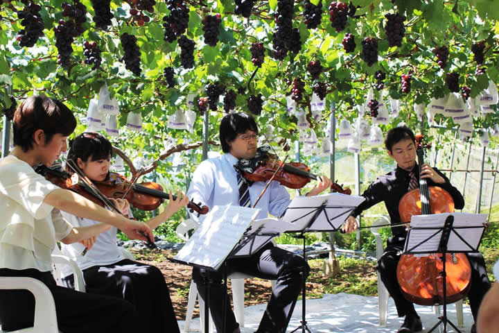 浜田農園について