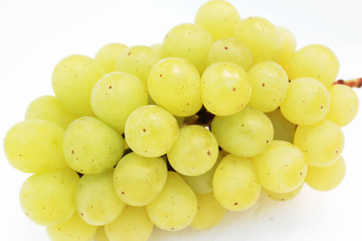 シャインマスカット