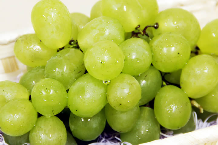 ロザリオビアンコ