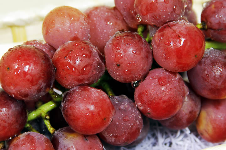 安芸クイーン（あき・クイーン）