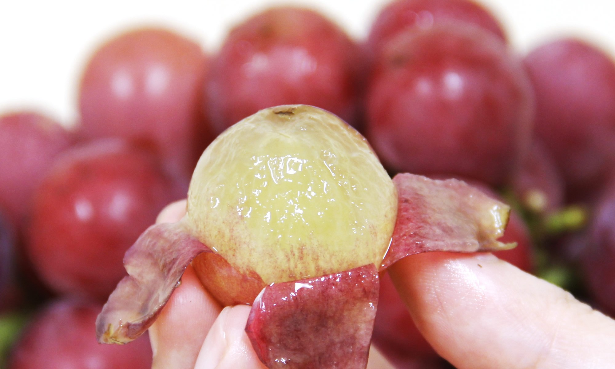 こだわりの果物たち。クラシックブドウ、完熟マンゴー、ブルーベリー