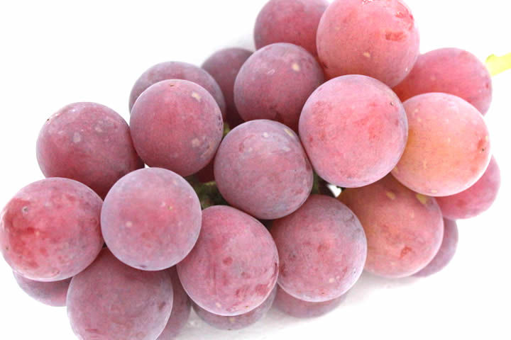 竜宝（りゅうほう）