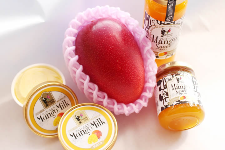 農園のマンゴーを贅沢につかったジェラートやソース