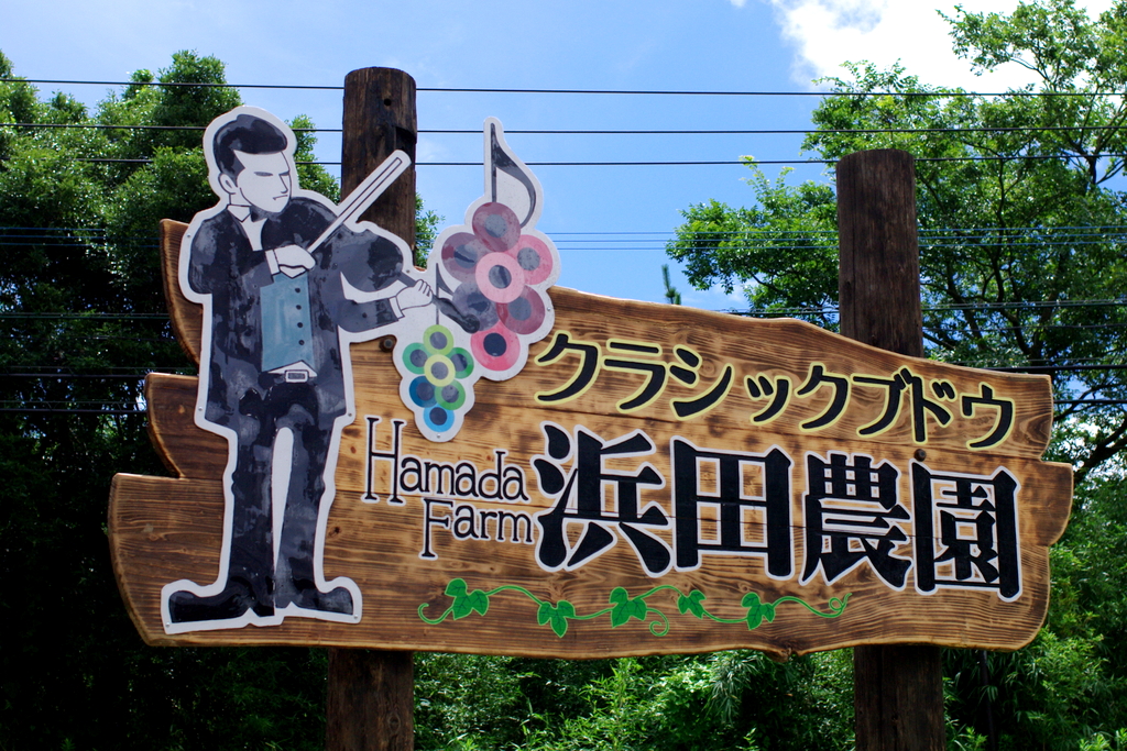 営業情報の外観