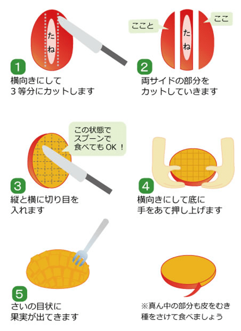 マンゴーのカット方法